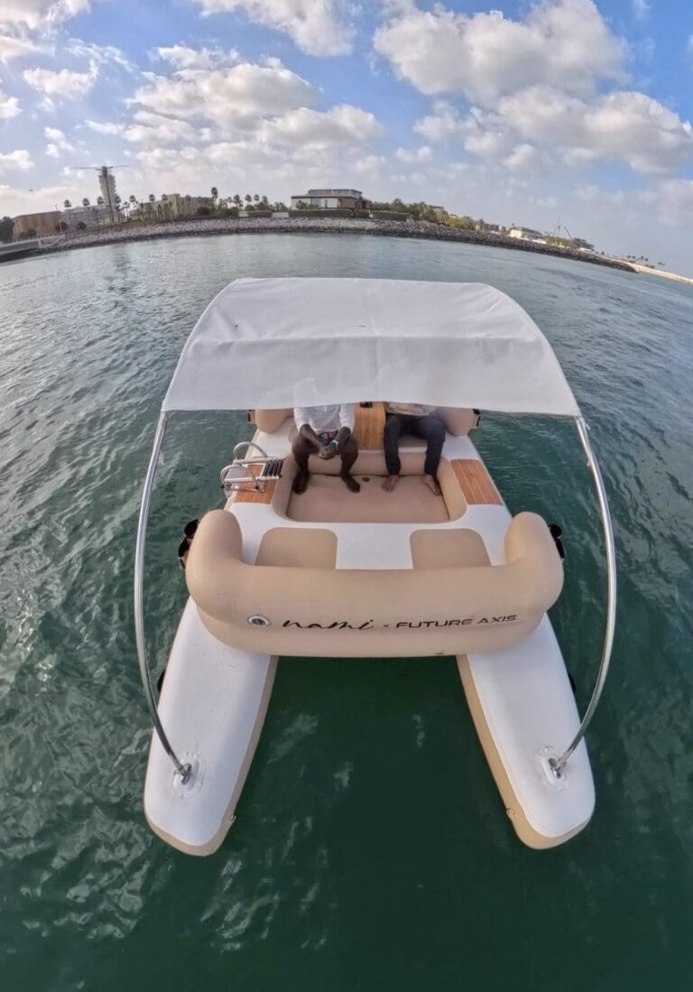 Electric catamaran