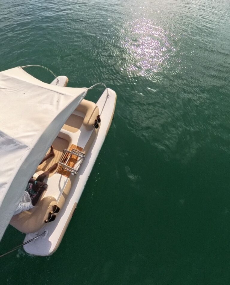 E-catamaran